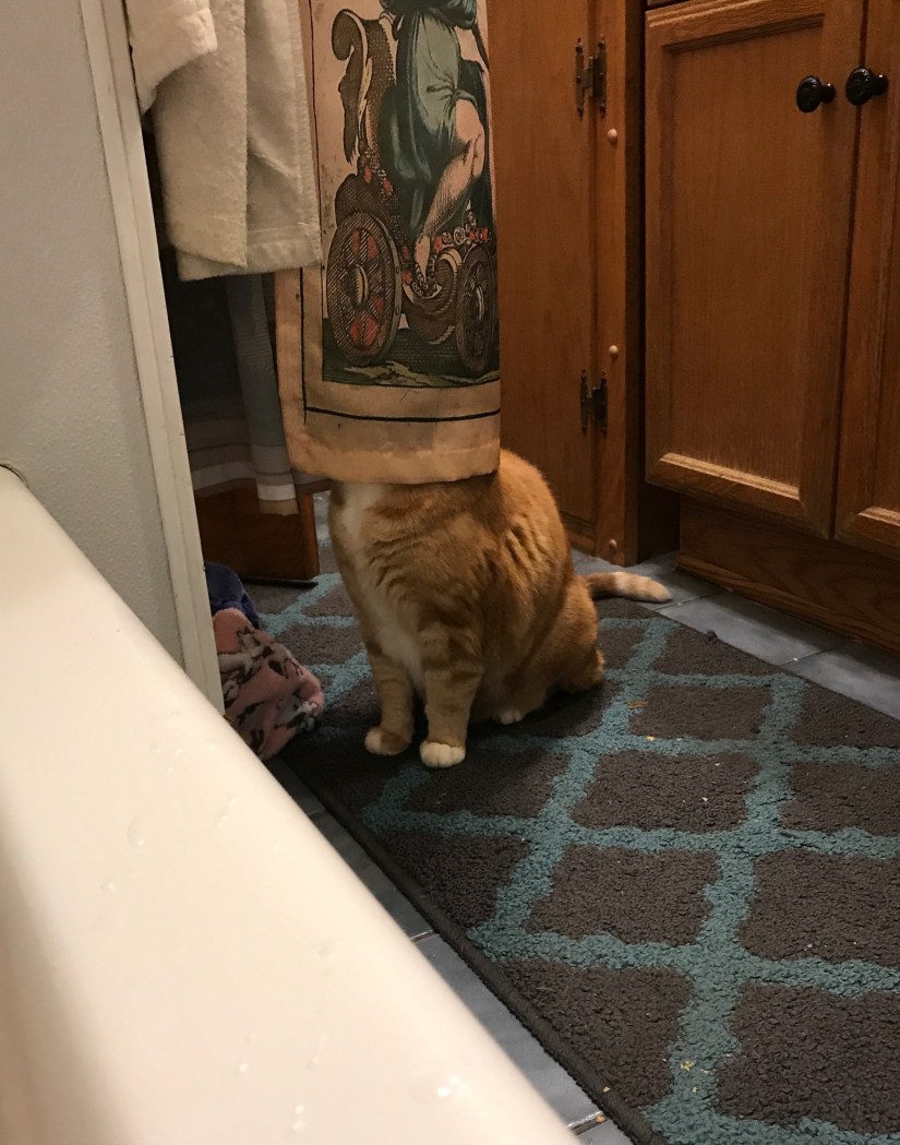 28640636_10214375636536541_588708746_o